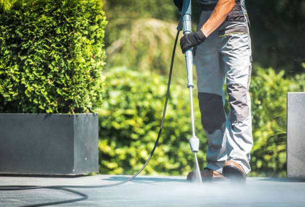 Best Dumpster Area Cleaning  in Centerville, IN