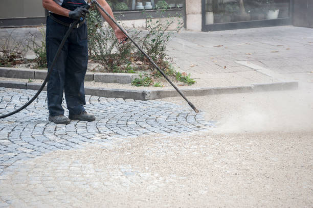 Best Sidewalk and Walkway Cleaning  in Centerville, IN